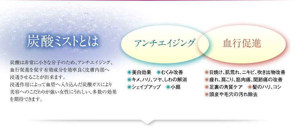 炭酸ミストとは 炭酸は非常に小さな分子のため、アンチエイジング、血行促進を促す有効成分を効率良く皮膚内部へ浸透させることが出来ます。浸透作用によって血管へ入り込んだ炭酸ガスにより新陳代謝が活発になり、女性にうれしい多数の効果を期待できます。アンチエイジング 美白効果むくみ改善キメ、ハリ、ツヤ、しわの解消シェイプアップ　小顔 血行促進 日焼け、肌荒れ、ニキビ、吹き出物改善 疲れ、肩こり、筋肉痛、関節痛の改善 足裏の角質ケア髪のハリ、コシ 頭皮や毛穴の汚れ除去